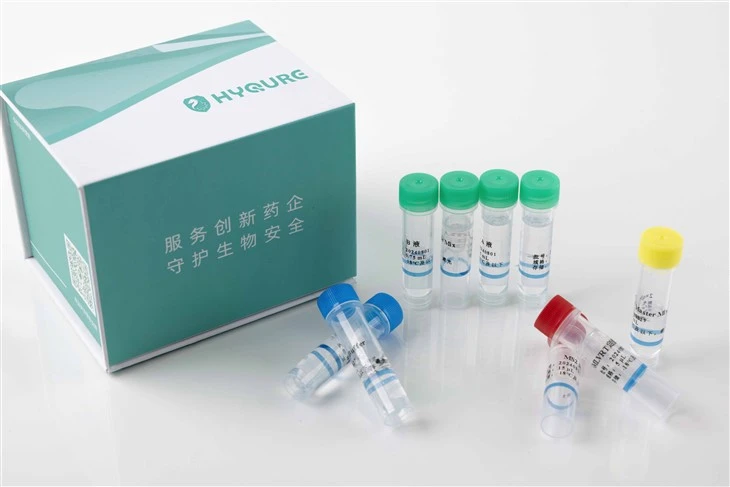 Kit d'assaig d'activitat de la transcriptasa inversa [HYA001-a/HYA001-b]